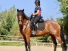 dressage horse Par Excellence 22 (Oldenburg, 2016, from Bordeaux 28)