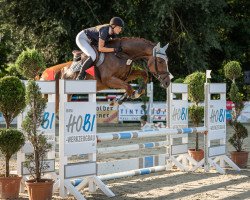 jumper Lady Liberty 44 (Hanoverian, 2019, from Diamant de Semilly)