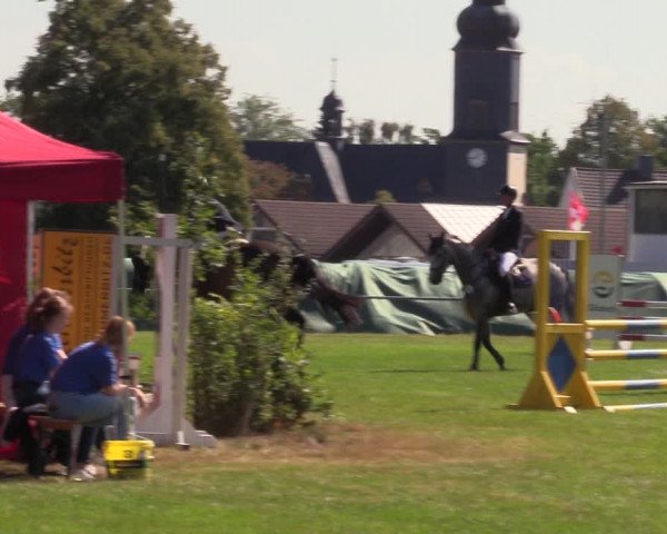 Reitturnier Altmittweida 2023