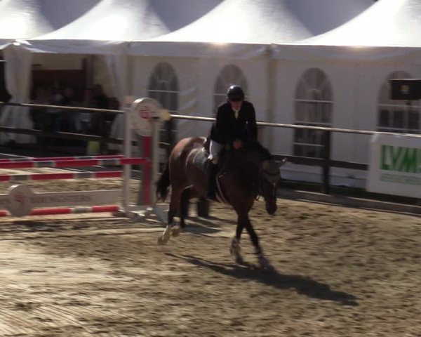 Reitturnier Albersloh 2023