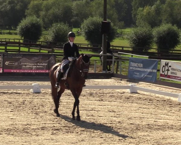 Reitturnier Marl, Hof Ostgathe 2023