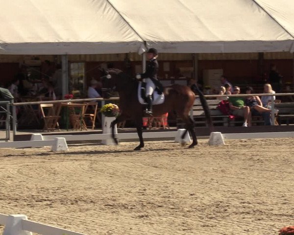 Reitturnier Marl, Hof Ostgathe 2023