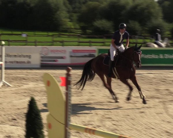 Reitturnier Marl, Hof Ostgathe 2023