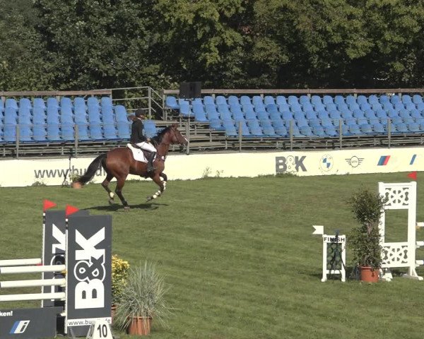 Reitturnier Scharnebeck 2023