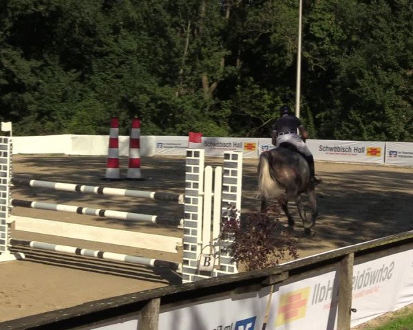 Reitturnier Buchenhof-Ibbenbüren 2023