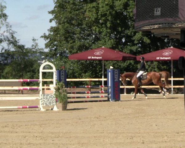 Reitturnier Scharnebeck 2023