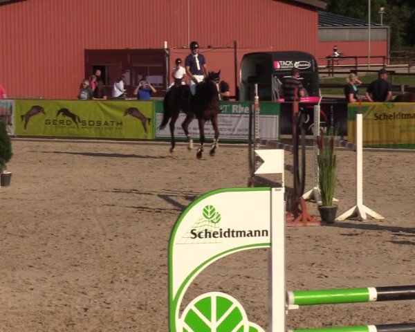 Reitturnier Marl, Hof Ostgathe 2023