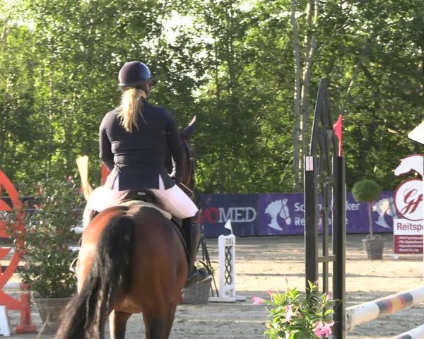 Reitturnier Scharnebeck 2023