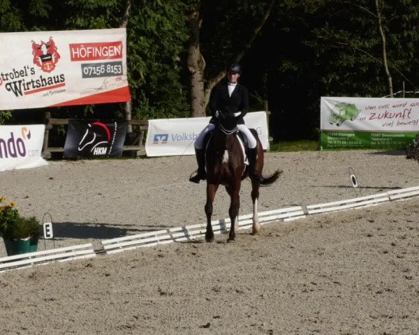 Reitturnier Ditzingen 2023