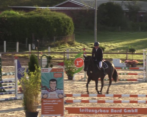 Reitturnier Loop/ Looperholz 2023