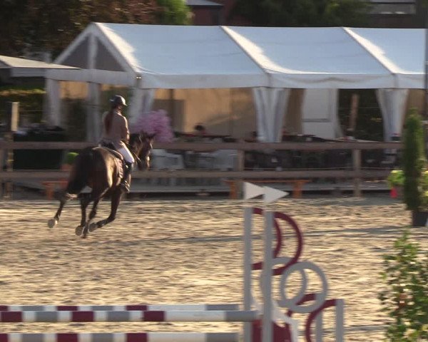 Reitturnier Loop/ Looperholz 2023