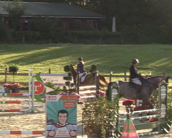 Reitturnier Loop/ Looperholz 2023