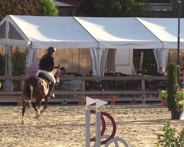 Reitturnier Loop/ Looperholz 2023