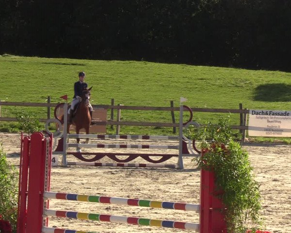 Reitturnier Loop/ Looperholz 2023