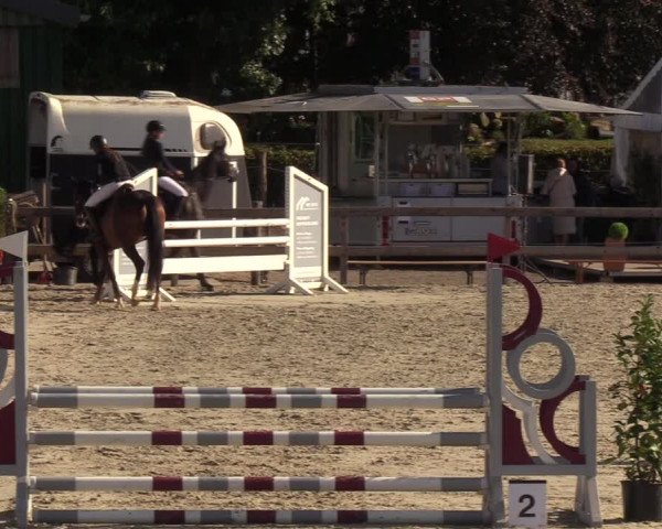 Reitturnier Loop/ Looperholz 2023