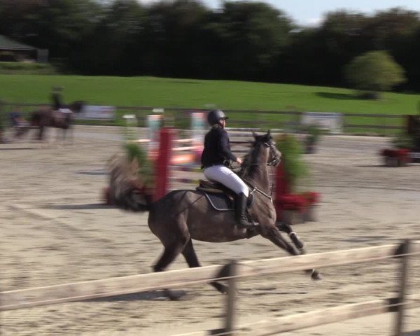 Reitturnier Loop/ Looperholz 2023