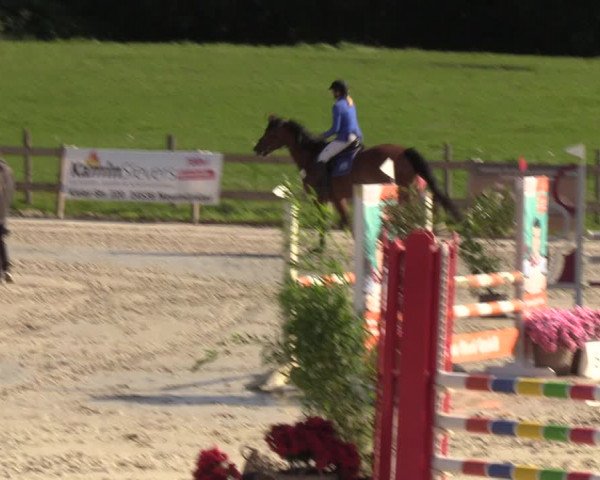 Reitturnier Loop/ Looperholz 2023