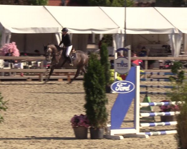 Reitturnier Loop/ Looperholz 2023