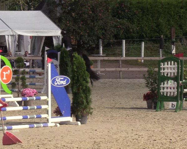 Reitturnier Loop/ Looperholz 2023