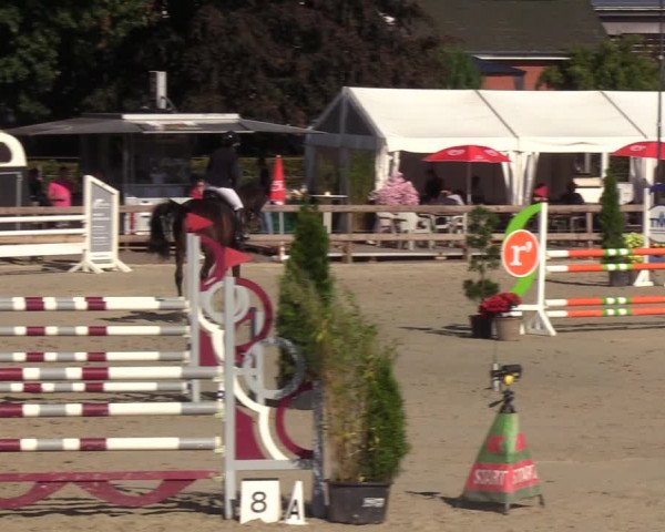 Reitturnier Loop/ Looperholz 2023