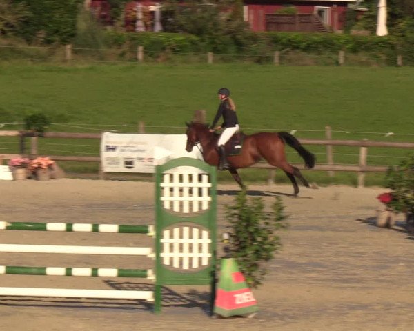 Reitturnier Loop/ Looperholz 2023