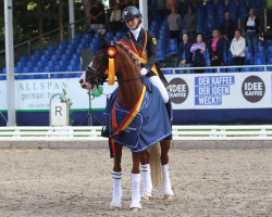 dressage horse DSP Der Kleine Champion (German Riding Pony, 2017, from Diamond Touch NRW)