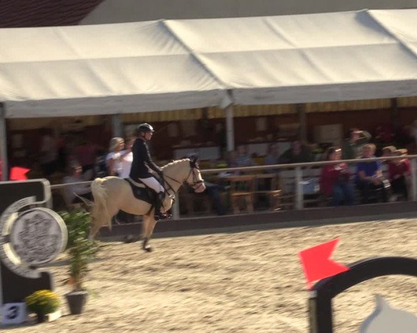 Reitturnier Marl, Hof Ostgathe 2023