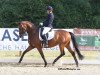 dressage horse Bonamé (Westphalian, 2018, from Baron)