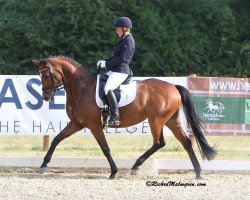 dressage horse Bonamé (Westphalian, 2018, from Blue Hors Baron)