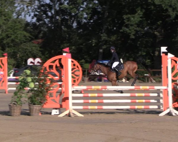 Reitturnier Scharnebeck 2023