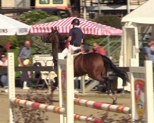 Reitturnier Buchenhof-Ibbenbüren 2023