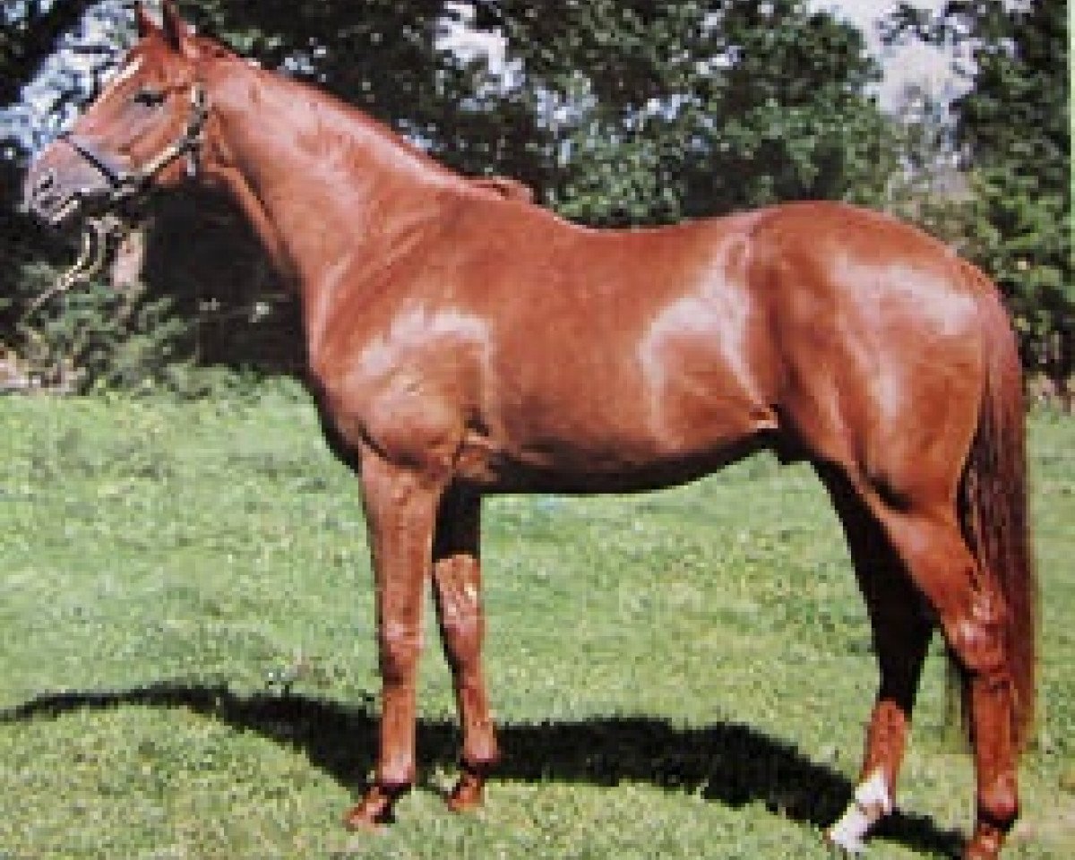 stallion Green God xx (Thoroughbred, 1968, from Red God xx)