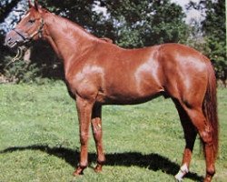 stallion Green God xx (Thoroughbred, 1968, from Red God xx)