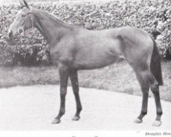 broodmare Caspian Sea xx (Thoroughbred, 1950, from Tehran xx)