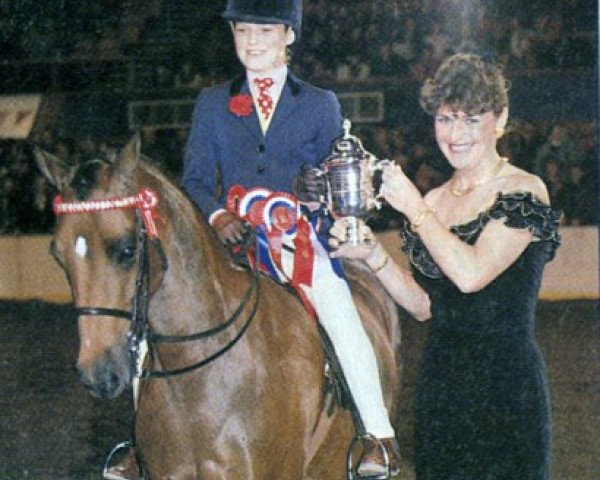 broodmare Drayton Penny Royal (British Riding Pony, 1988, from Sandbourne Royal Ensign)