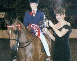 broodmare Drayton Penny Royal (British Riding Pony, 1988, from Sandbourne Royal Ensign)