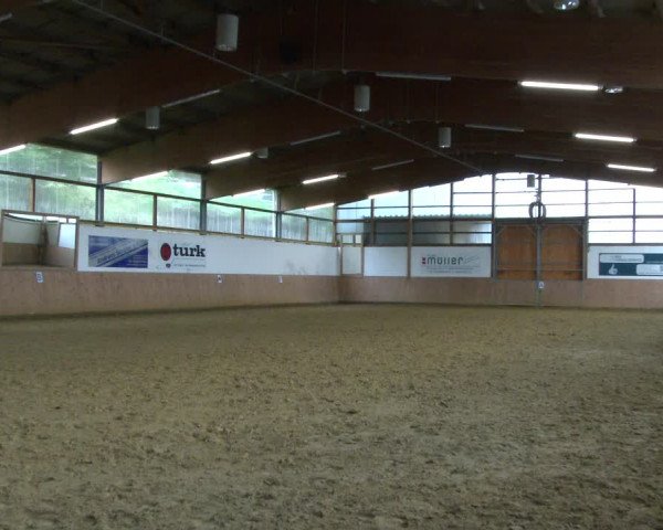 Reitturnier Meinerzhagen 2021