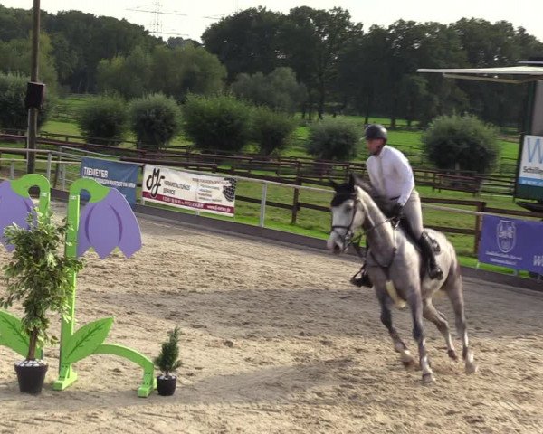 Reitturnier Marl, Hof Ostgathe 2023