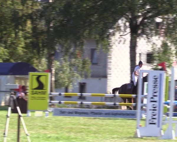 Reitturnier Altmittweida 2023