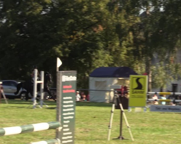 Reitturnier Altmittweida 2023
