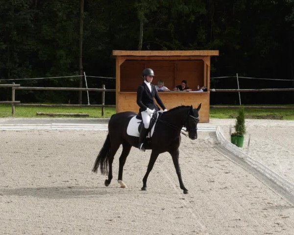 Reitturnier Ditzingen 2023