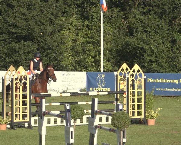 Reitturnier Scharnebeck 2023