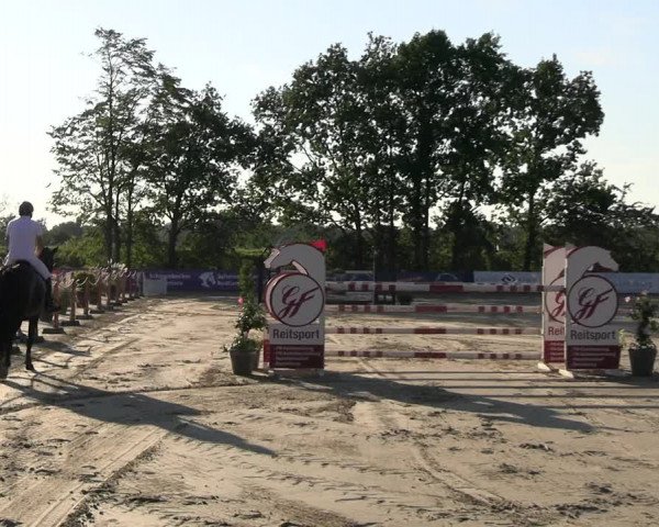 Reitturnier Scharnebeck 2023