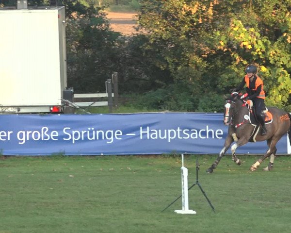Reitturnier Scharnebeck 2023