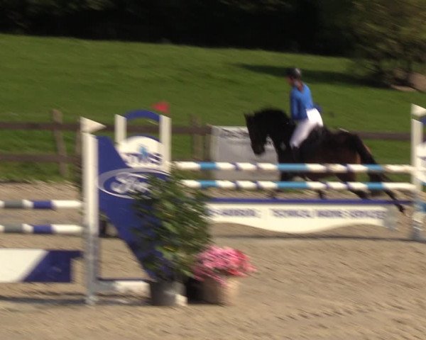 Reitturnier Loop/ Looperholz 2023