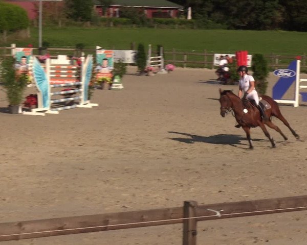 Reitturnier Loop/ Looperholz 2023