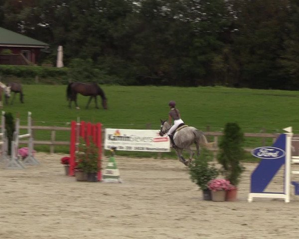 Reitturnier Loop/ Looperholz 2023