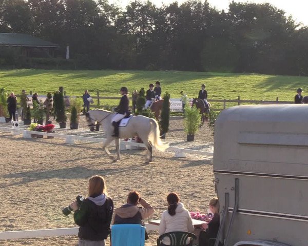 Reitturnier Loop/ Looperholz 2023