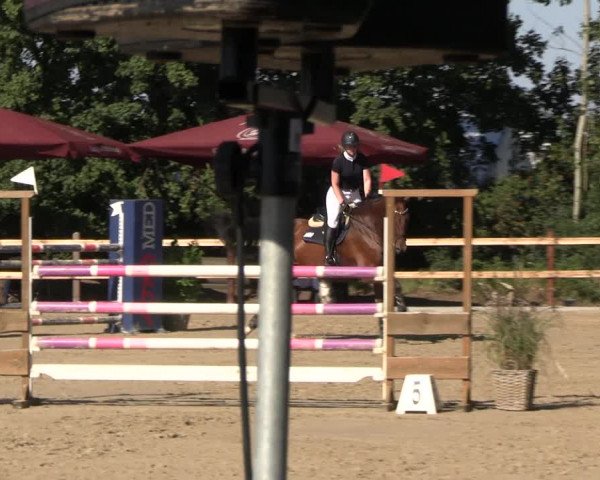 Reitturnier Scharnebeck 2023