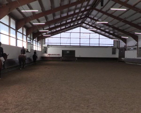 Reitturnier Albersloh 2023